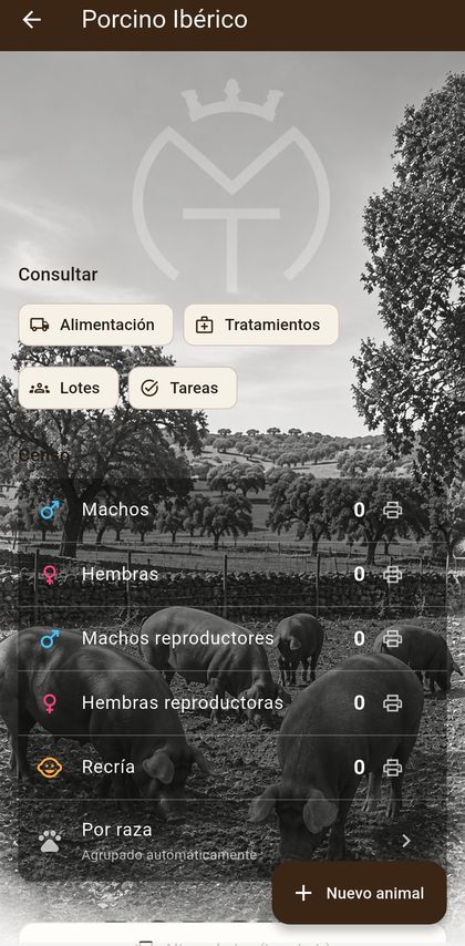 AppIbérica: Porcino ibérico